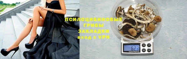 бошки Верея