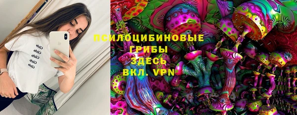 бошки Верея