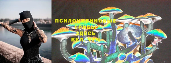бошки Верея