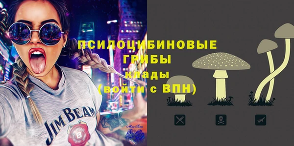 стафф Верхний Тагил