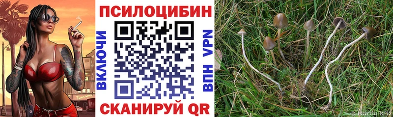 кракен вход  купить   Пересвет  Галлюциногенные грибы MAGIC MUSHROOMS 